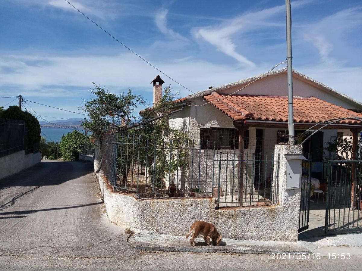 Sea View Dilesi Villa Díleszi Kültér fotó
